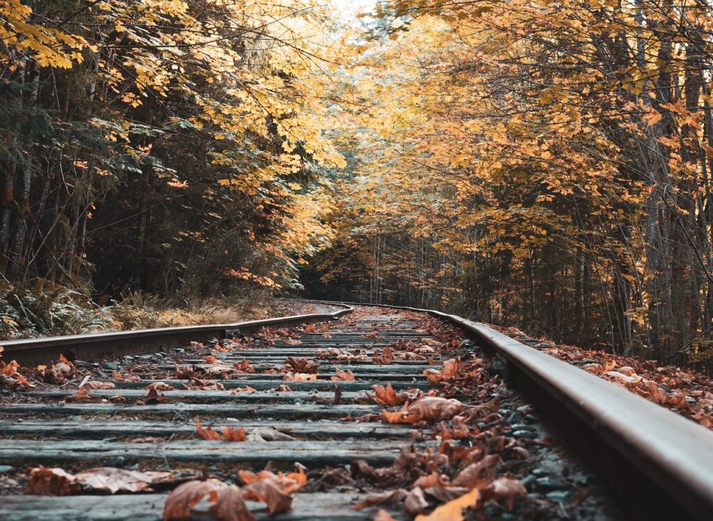 abandoned, railway, fall-3701874.jpg